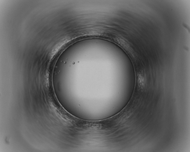 X0000103430676200809191701