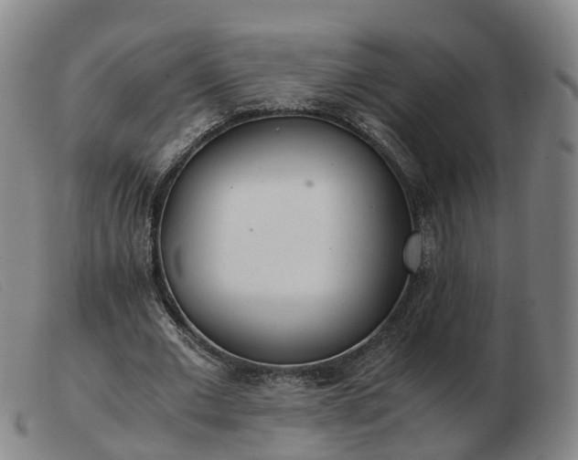 X0000103430677200809191701
