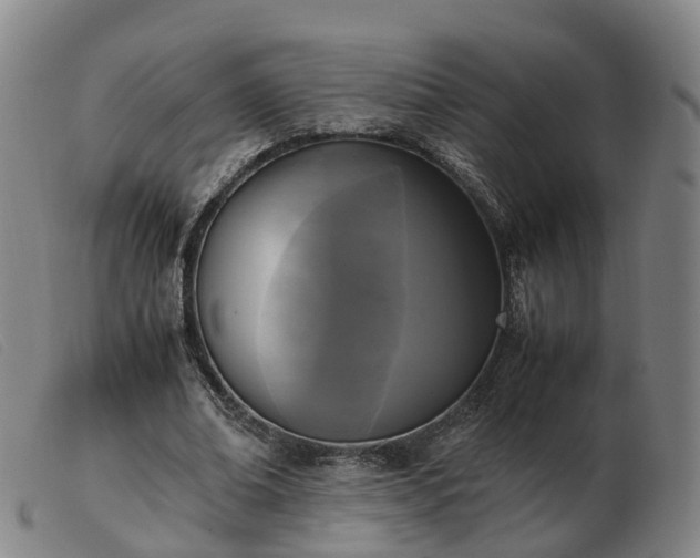 X0000103430678200809191701