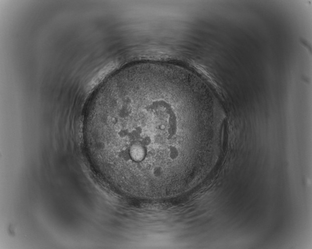 X0000103430679200809191701