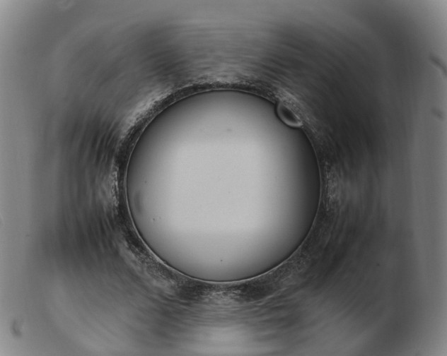 X0000103430680200809191701