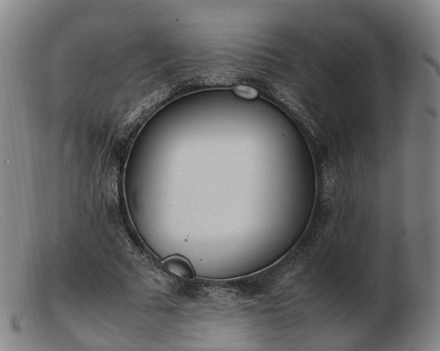 X0000103430681200809191701