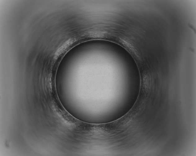 X0000103430682200809191701