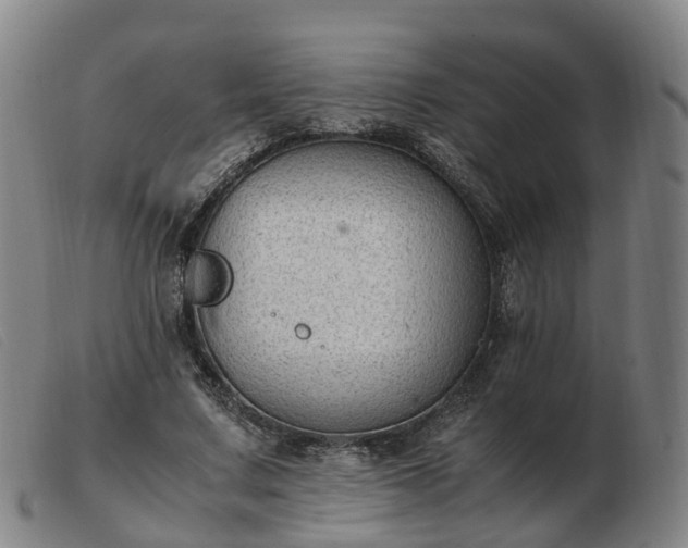 X0000103430683200809191701