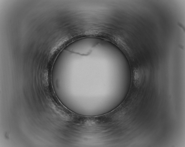 X0000103430684200809191701