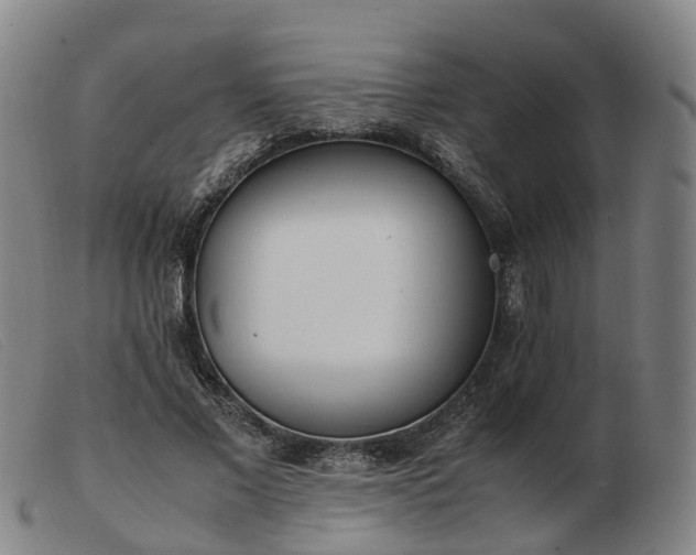 X0000103430685200809191701