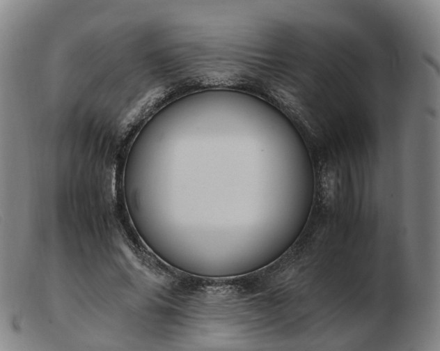 X0000103430686200809191701