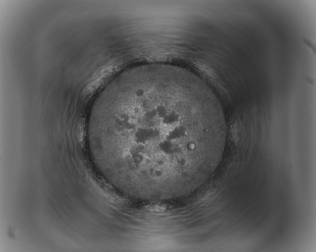 X0000103430687200809191701