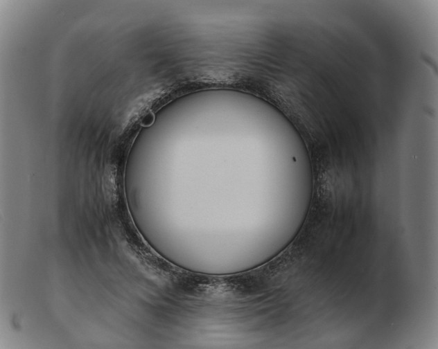 X0000103430688200809191701