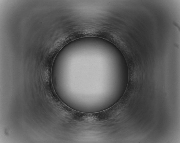 X0000103430689200809191701