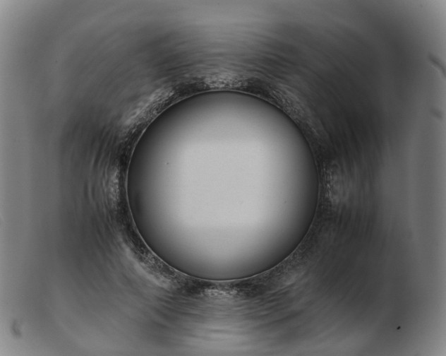 X0000103430690200809191701