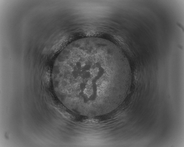 X0000103430691200809191701