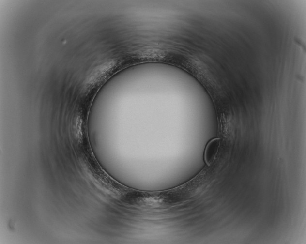 X0000103430692200809191701