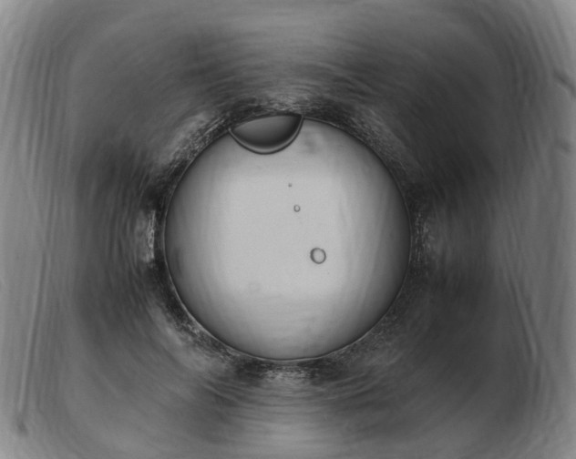 X0000103430694200809191701