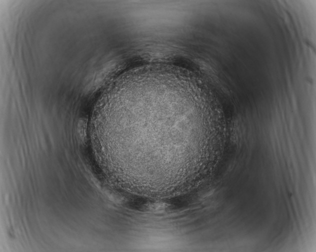 X0000103430695200809191701