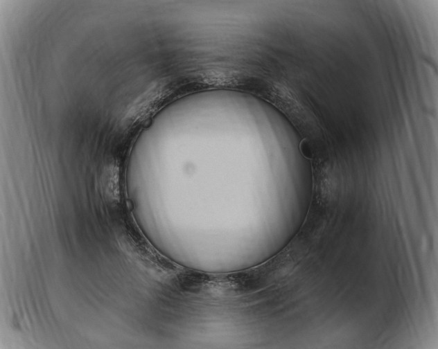 X0000103430696200809191701