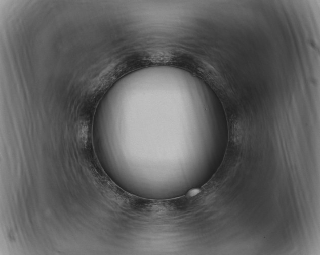 X0000103430697200809191701