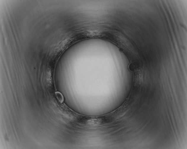 X0000103430700200809191701