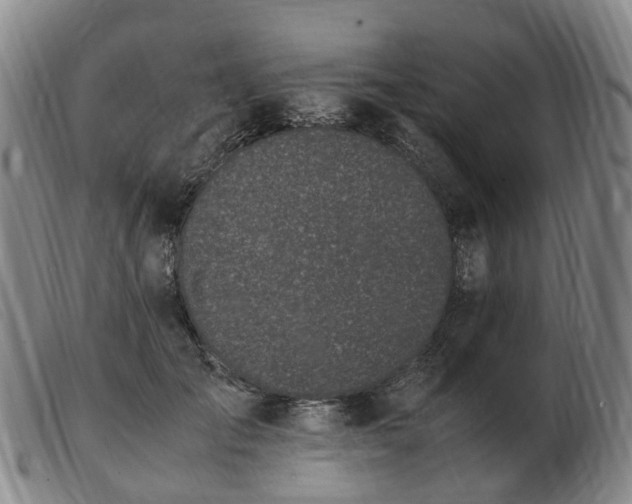 X0000103430701200809191701