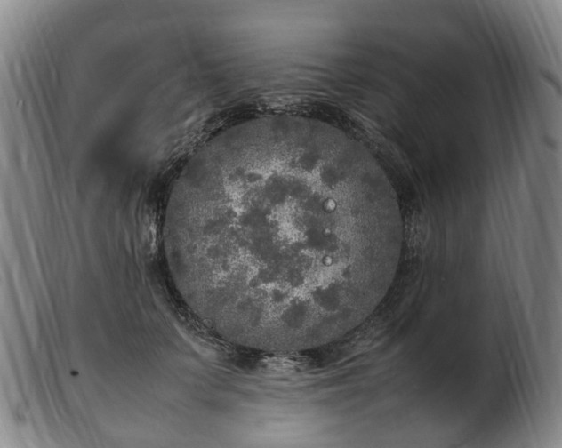 X0000103430703200809191701