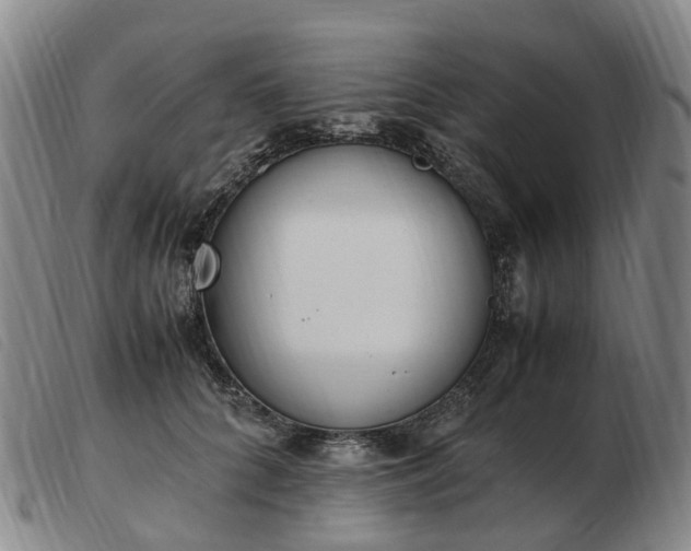 X0000103430704200809191701