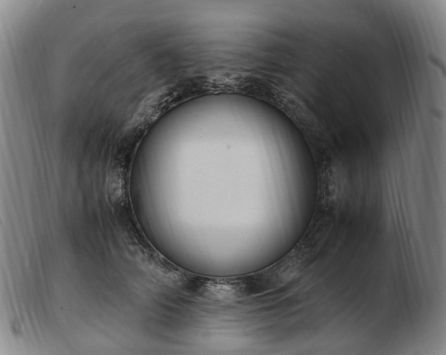 X0000103430706200809191701