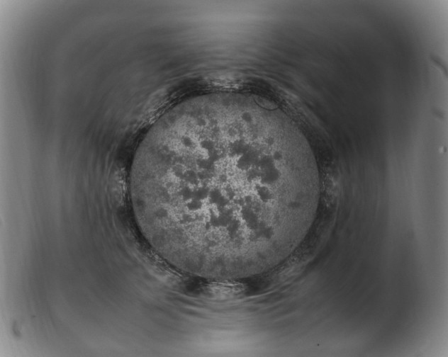 X0000103430707200809191701