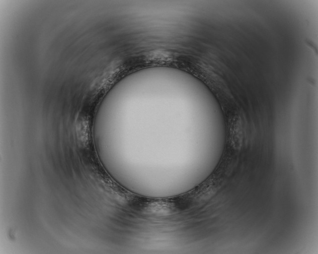 X0000103430708200809191701