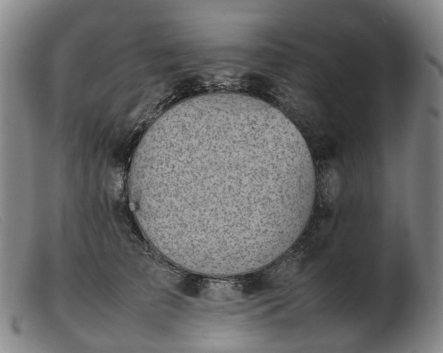 X0000103430709200809191701