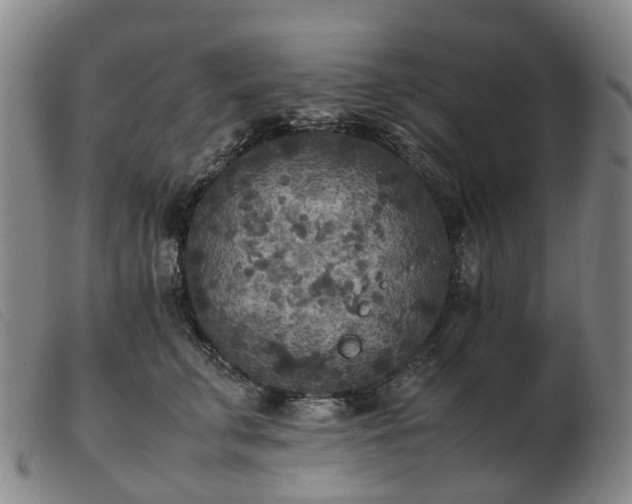 X0000103430711200809191701