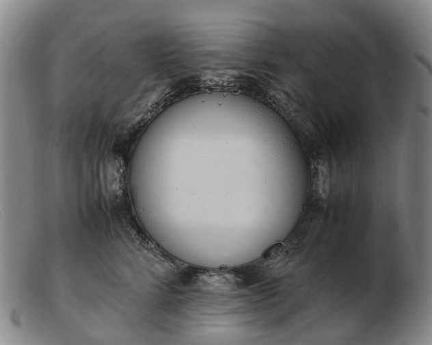 X0000103430712200809191701