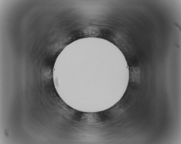 X0000103430713200809191701