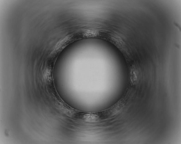 X0000103430714200809191701