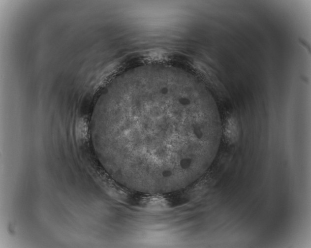 X0000103430715200809191701