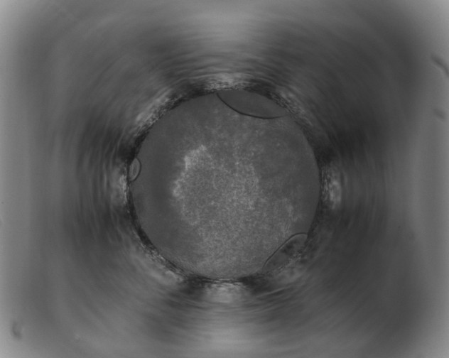 X0000103430716200809191701