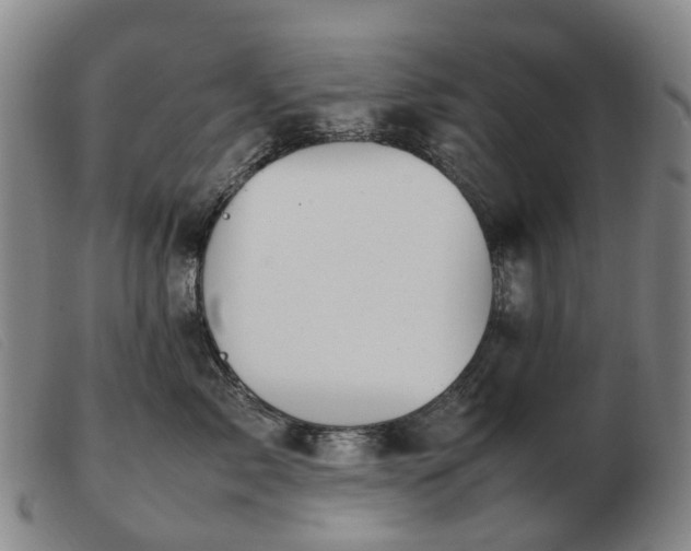 X0000103430717200809191701