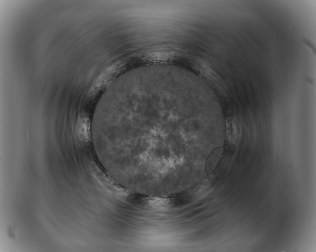 X0000103430718200809191701