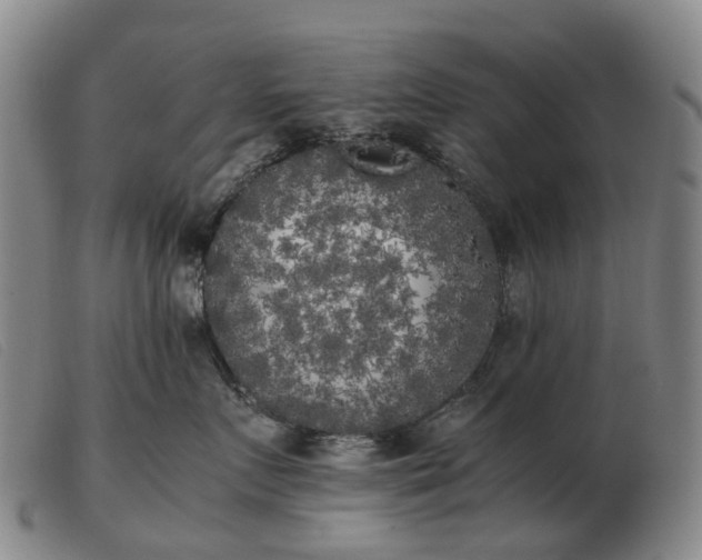 X0000103430719200809191701