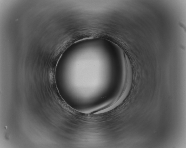 X0000103430720200809191701