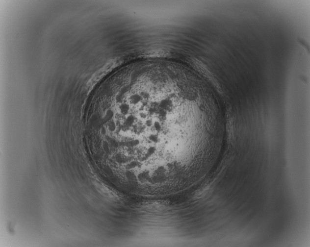 X0000103430721200809191700