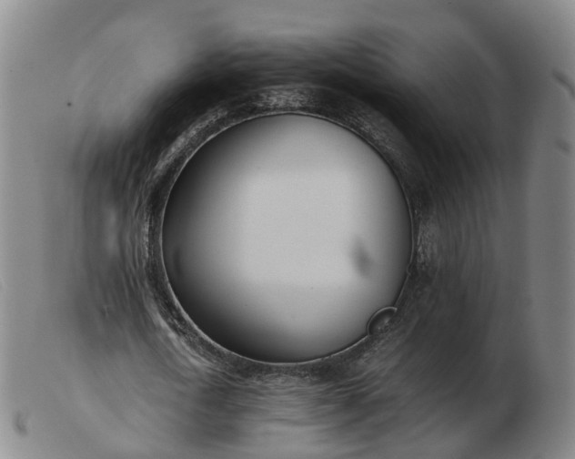 X0000103430722200809191700