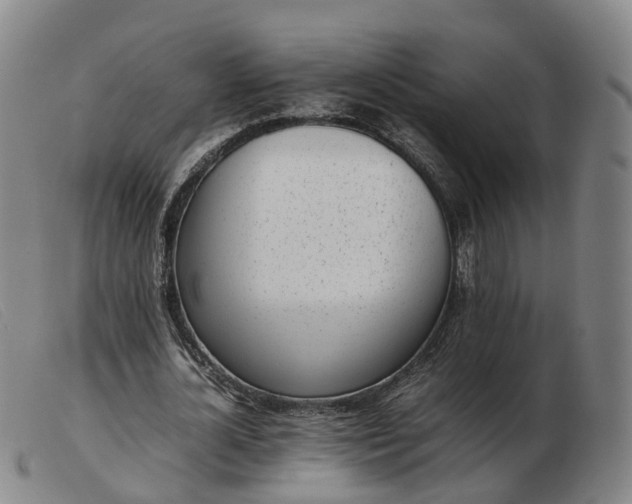 X0000103430724200809191700