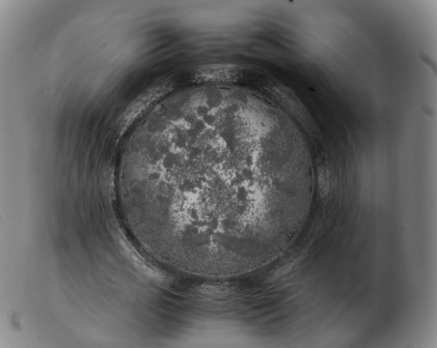 X0000103430725200809191700