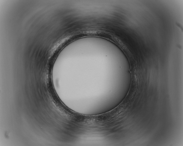 X0000103430728200809191700