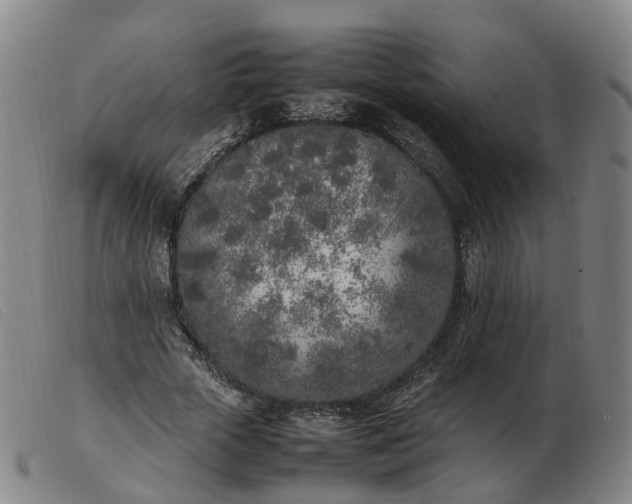 X0000103430729200809191700