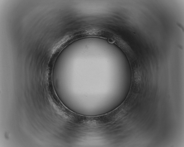 X0000103430730200809191700