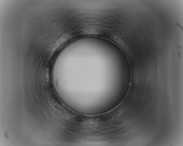 X0000103430731200809191700