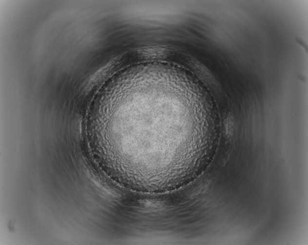X0000103430733200809191700