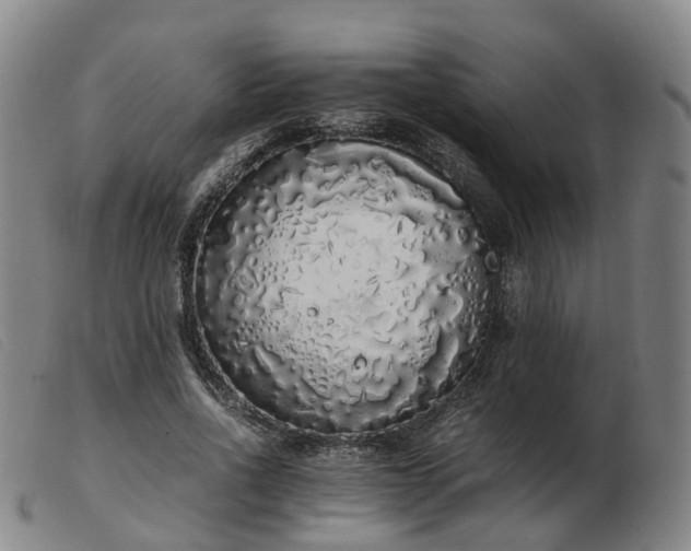 X0000103430734200809191700