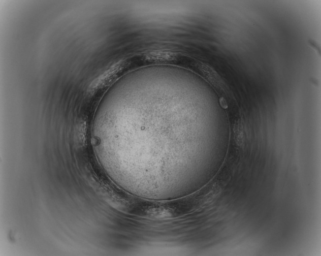 X0000103430735200809191700